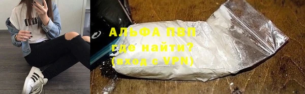 PSILOCYBIN Лабытнанги