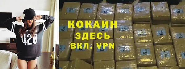 PSILOCYBIN Лабытнанги